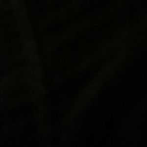 Meet your Posher, Cam